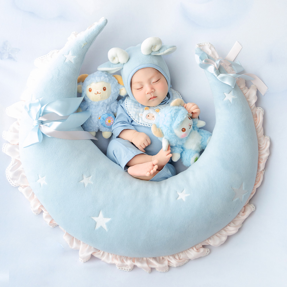 Blue Sheep Newborn Photography - Infant Photography Props Outfit review and price